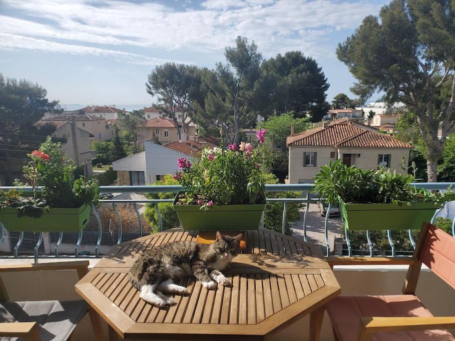 Lou Beach Home 75 M2 A 300 M De La Plage Avec Vue Mer La Ciotat Luaran gambar